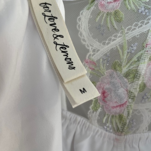 For love and lemons trellis rose bustier mini dress - Picture 4 of 4